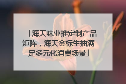 海天味业推定制产品矩阵，海天金标生抽满足多元化消费场景