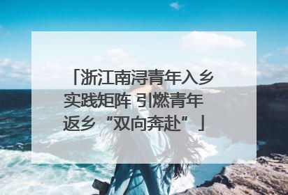 浙江南浔青年入乡实践矩阵 引燃青年返乡“双向奔赴”