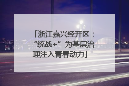 浙江嘉兴经开区：“统战+”为基层治理注入青春动力