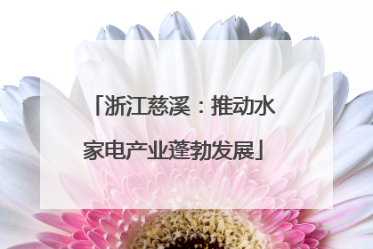 浙江慈溪：推动水家电产业蓬勃发展