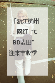 浙江杭州：网红“CBD麦田”迎来丰收季