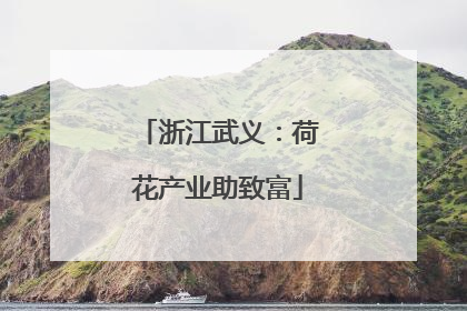 浙江武义：荷花产业助致富