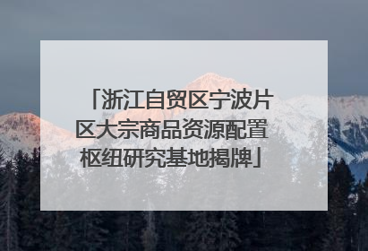 浙江自贸区宁波片区大宗商品资源配置枢纽研究基地揭牌