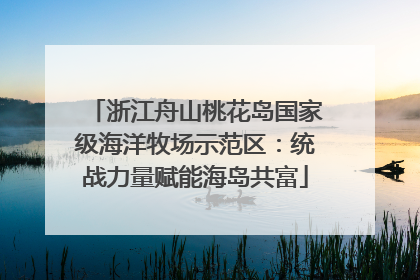 浙江舟山桃花岛国家级海洋牧场示范区：统战力量赋能海岛共富