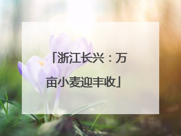 浙江长兴：万亩小麦迎丰收