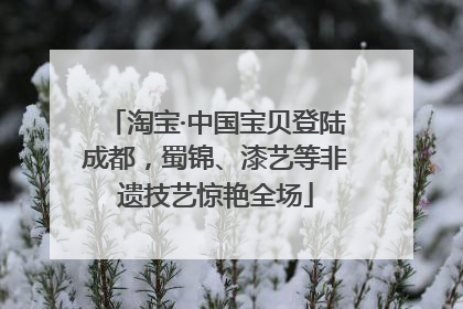 淘宝·中国宝贝登陆成都，蜀锦、漆艺等非遗技艺惊艳全场