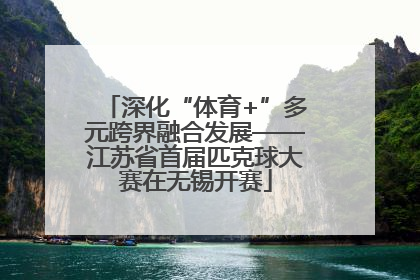 深化“体育+”多元跨界融合发展——江苏省首届匹克球大赛在无锡开赛