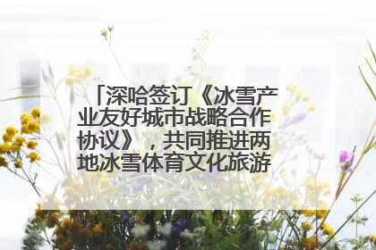 深哈签订《冰雪产业友好城市战略合作协议》，共同推进两地冰雪体育文化旅游高质量发展