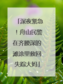 深夜紧急！舟山民警在齐腰深的滩涂里救回失踪大妈