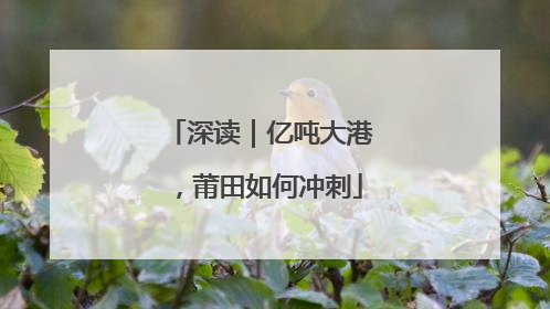 深读｜亿吨大港，莆田如何冲刺