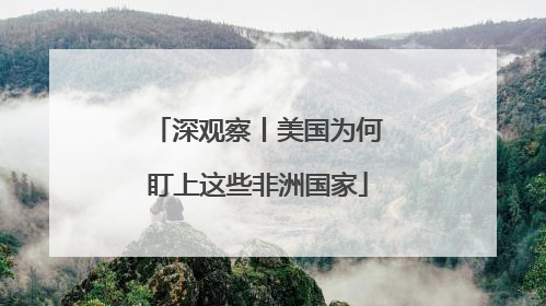 深观察丨美国为何盯上这些非洲国家