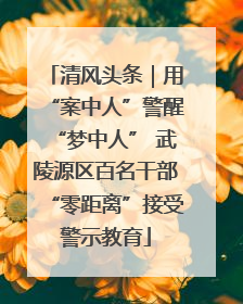 清风头条｜用“案中人”警醒“梦中人” 武陵源区百名干部“零距离”接受警示教育