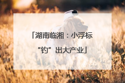 湖南临湘：小浮标“钓”出大产业