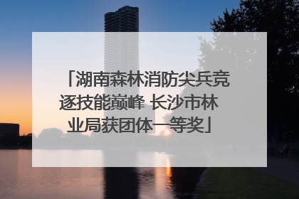 湖南森林消防尖兵竞逐技能巅峰 长沙市林业局获团体一等奖