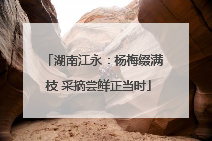 湖南江永：杨梅缀满枝 采摘尝鲜正当时