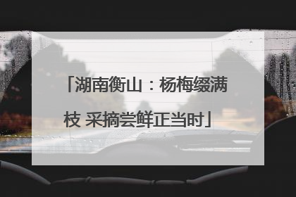 湖南衡山：杨梅缀满枝 采摘尝鲜正当时