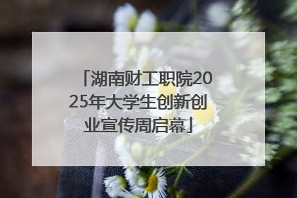 湖南财工职院2025年大学生创新创业宣传周启幕