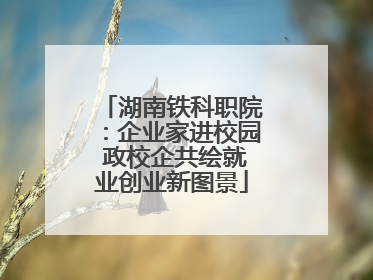 湖南铁科职院：企业家进校园 政校企共绘就业创业新图景