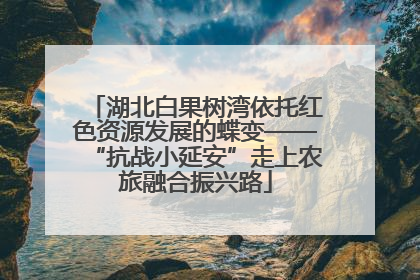 湖北白果树湾依托红色资源发展的蝶变——“抗战小延安”走上农旅融合振兴路