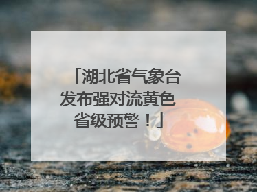 湖北省气象台发布强对流黄色省级预警！