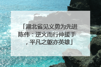 湖北省见义勇为先进陈伟：逆火而行伸援手，平凡之躯亦英雄