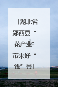 湖北省郧西县“花产业”带来好“钱”景