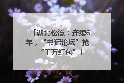 湖北松滋：连续6年，“书记论坛”抢“千万红包”