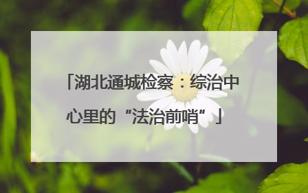 湖北通城检察：综治中心里的“法治前哨”