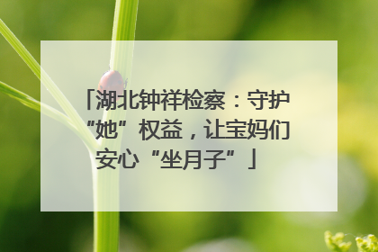 湖北钟祥检察：守护“她”权益，让宝妈们安心“坐月子”