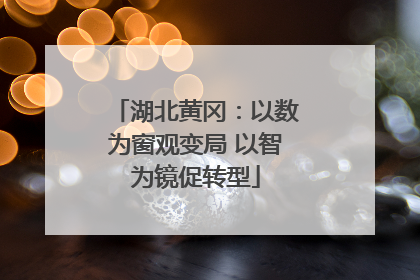 湖北黄冈：以数为窗观变局 以智为镜促转型