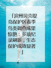 滨州贝壳堤岛保护区春季鸟类调查成果惊艳：多项纪录刷新，生态保护成效显著