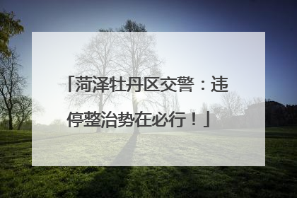 菏泽牡丹区交警：违停整治势在必行！