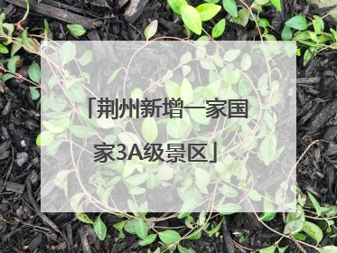 荆州新增一家国家3A级景区