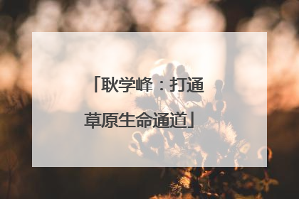 耿学峰：打通草原生命通道