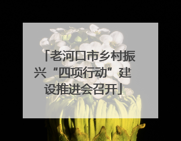 老河口市乡村振兴“四项行动”建设推进会召开