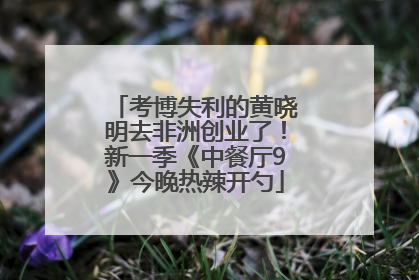 考博失利的黄晓明去非洲创业了！新一季《中餐厅9》今晚热辣开勺