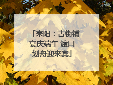 耒阳：古街铺宴庆端午 渡口划舟迎来宾