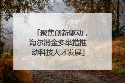 聚焦创新驱动，海尔消金多举措推动科技人才发展