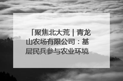 聚焦北大荒｜青龙山农场有限公司：基层民兵参与农业环境综合治理显效