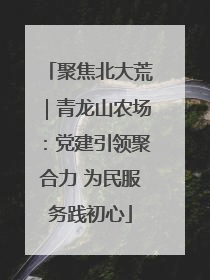 聚焦北大荒｜青龙山农场：党建引领聚合力 为民服务践初心