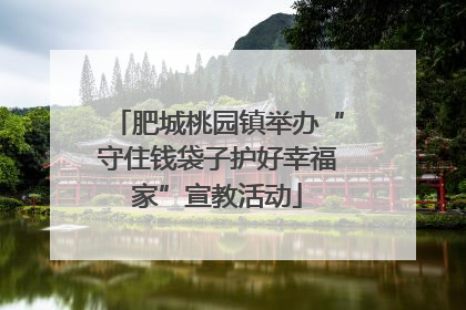 肥城桃园镇举办“守住钱袋子护好幸福家”宣教活动