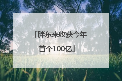 胖东来收获今年首个100亿
