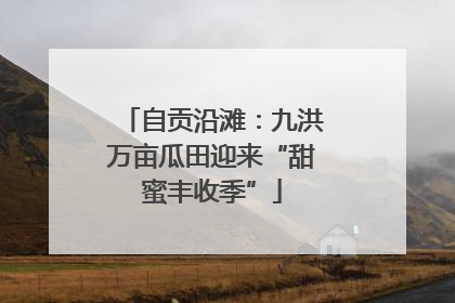 自贡沿滩：九洪万亩瓜田迎来“甜蜜丰收季”