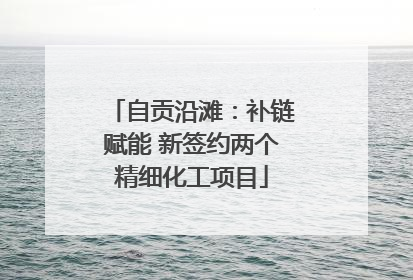 自贡沿滩：补链赋能 新签约两个精细化工项目