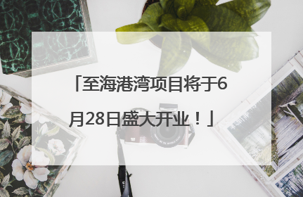 至海港湾项目将于6月28日盛大开业！