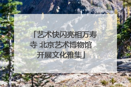艺术快闪亮相万寿寺 北京艺术博物馆开展文化雅集