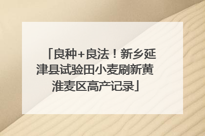 良种+良法！新乡延津县试验田小麦刷新黄淮麦区高产记录