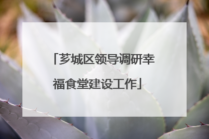 芗城区领导调研幸福食堂建设工作