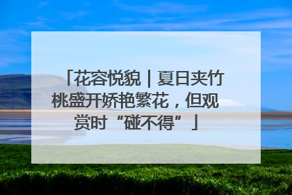 花容悦貌｜夏日夹竹桃盛开娇艳繁花，但观赏时“碰不得”