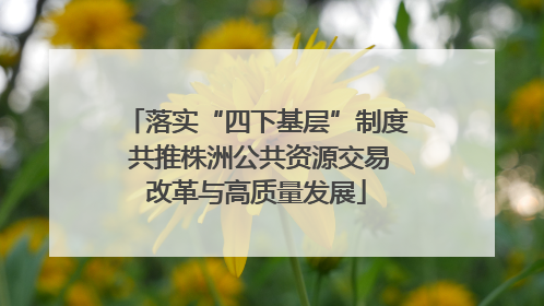 落实“四下基层”制度 共推株洲公共资源交易改革与高质量发展